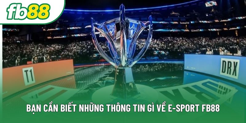 Bạn cần biết những thông tin gì về E-sport FB88